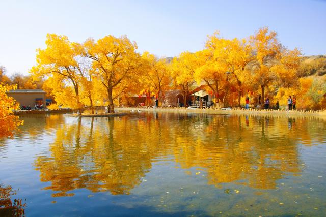 酒泉多坝沟胡杨峡，山势奇特，景色如画，隐藏着大西北的极致秋色