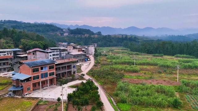 乡间行记：从岳溪镇到谭家坝的旧日记忆