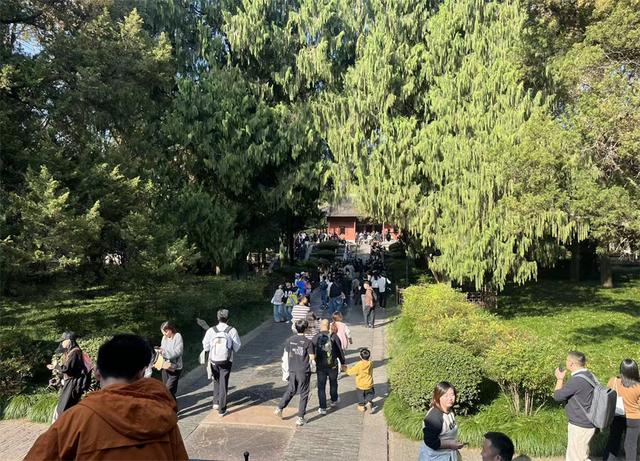 南京明孝陵，它的8个有趣知识，您知道几个？