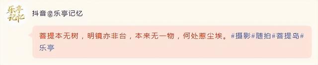 菩提岛春节假期马力全开，游客打卡点赞新春海岛游