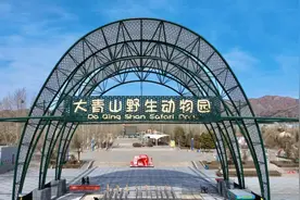 呼和浩特大青山野生动物园票价调整→图片