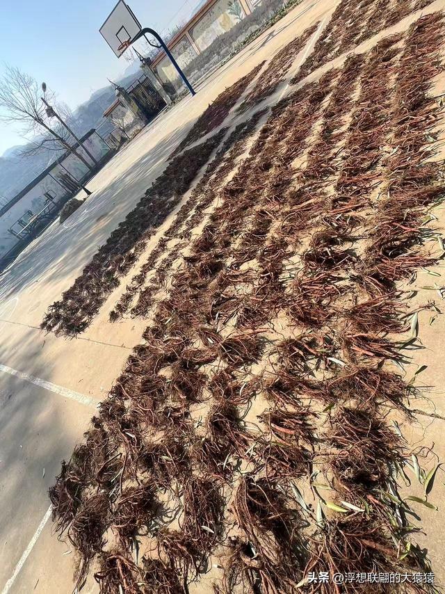 重游莱芜和庄明代建村的老姑峪