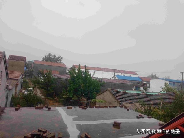 这不是迷信！“最怕立冬是雨天”，今日立冬	，下雨啥预兆？