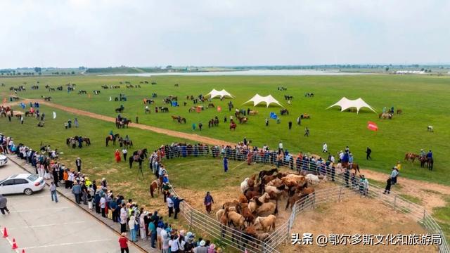 “非遗进景区” 鄂尔多斯这六项举措太绝了！