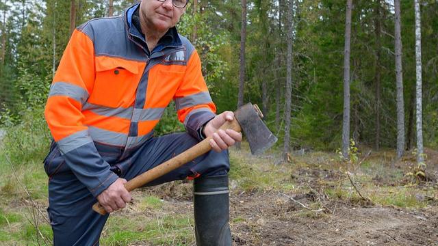 护林员徒手抗砍刀，非法建筑占公园，塞拉利昂生态旅游梦碎了？