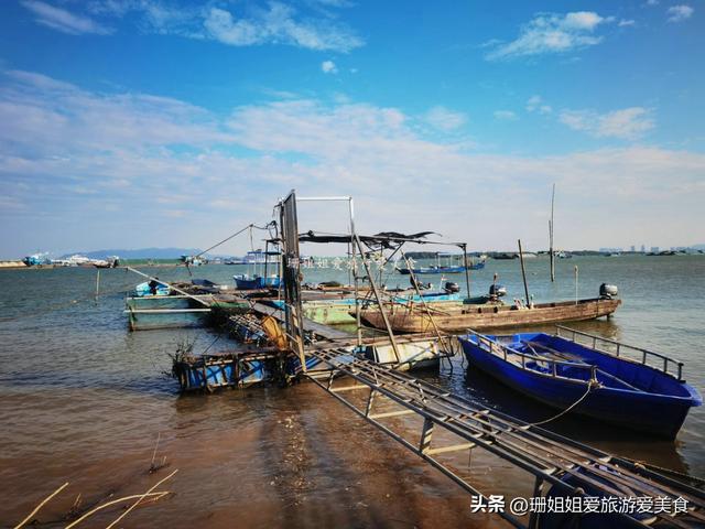 佛山高明小众宝藏渔村！初冬正确打开方式：吹西江风、吃现捞河鲜
