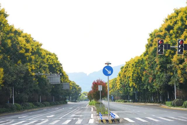 美不胜收！重庆主城区的秋天，在这里开始了→