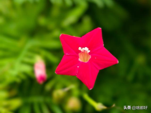 迟来的醒悟和道歉都太晚了，就让离别教你懂得珍惜和悔改吧