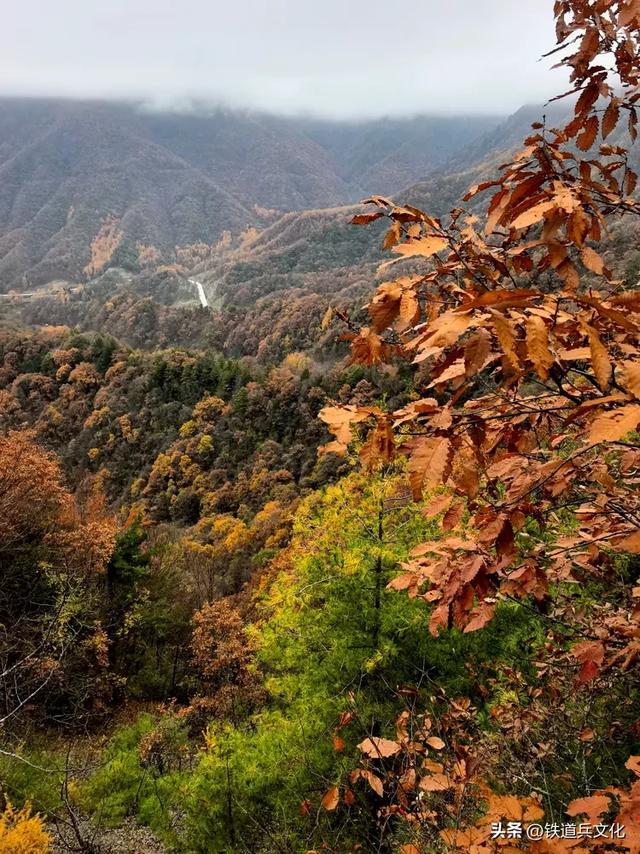 车过神农架【原创】作者：原铁十师陶玉和