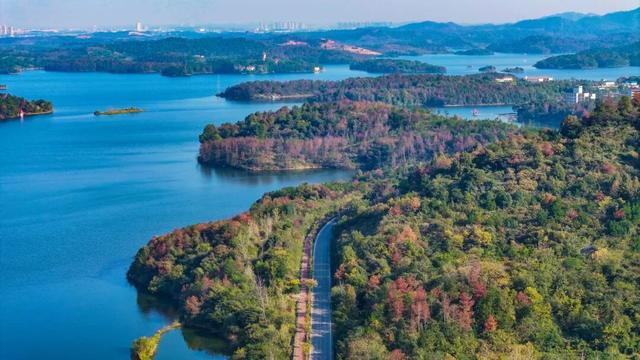 音乐嘉年华后别走！黄陂还有隐藏副本等你解锁！