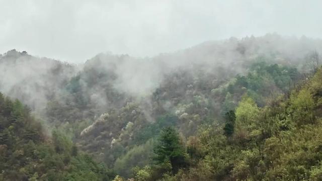 徽县麻沿河镇：暮春盛景惹人醉