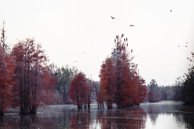 中国唯一以 "孝" 命名的城市，隐藏在武汉隔壁，名字美，山水也美！