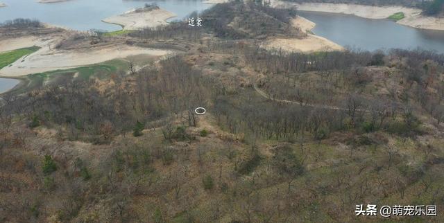 大别山现奇妙格局，内外层次分明，前方山峰成天然点缀