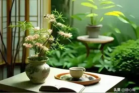 人活着，潇潇洒洒过，开开心心活！18句让自己身体好，心情美图片