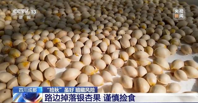 “捡秋”有风险 “尝鲜”需谨慎！牢记这些可避隐患