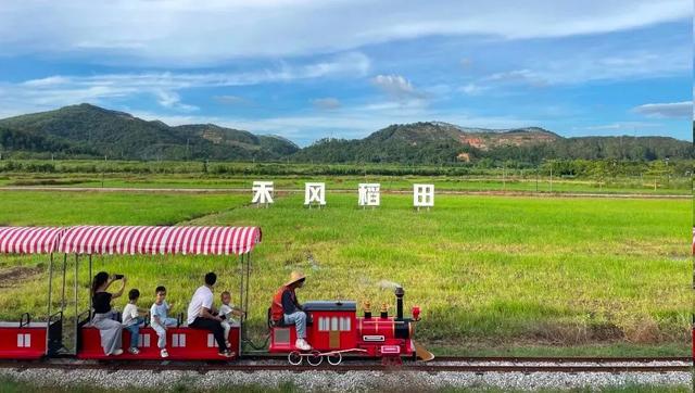 这8天，超好玩！盘点肇庆文旅“名场面”，有你在吗？