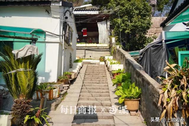 马“上”寻马 | 杭州city walk最新热门目的地，就在白马庙巷！