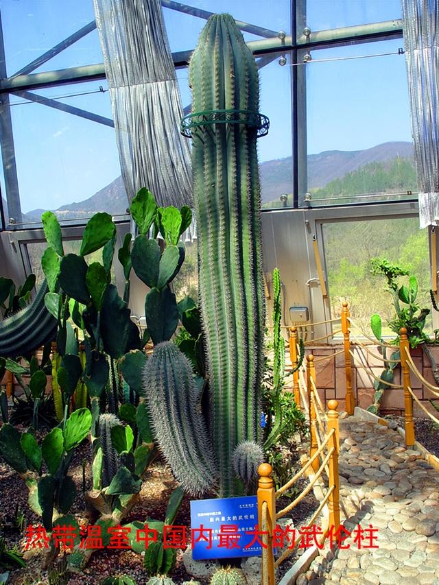 北京旅游：走进西山脚下的植物园（图）