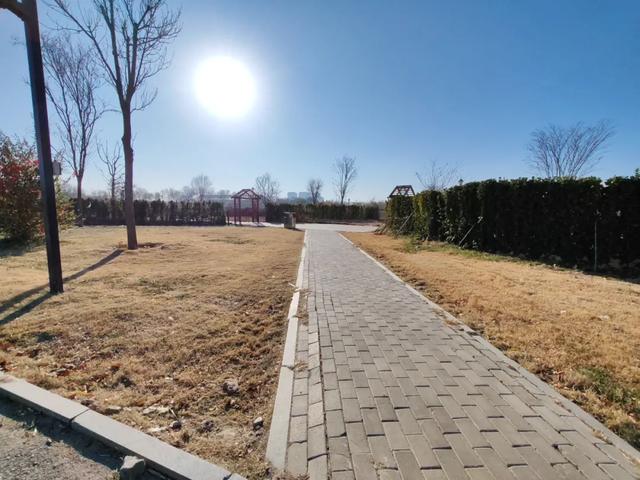 德州城西“花园营地”怎么不见了？