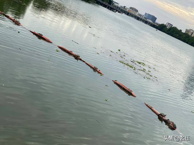 美国见闻（一）奥斯汀的日常生活