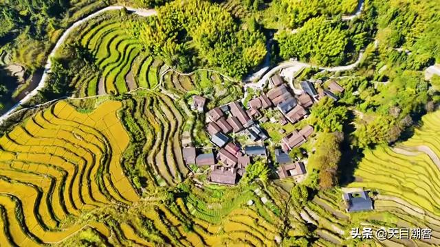 崇山峻岭间，英川镇凤凰寨梯田，以其千年积淀的农耕智慧静默矗立