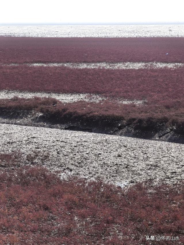 2025辽宁赏秋之旅日记(5)——从本溪前往盘锦 游览红海滩景观