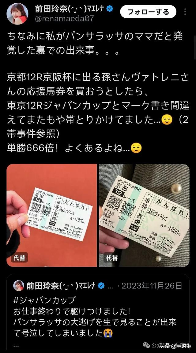 因喜欢《赛马娘》，外国粉丝买了匹赛马