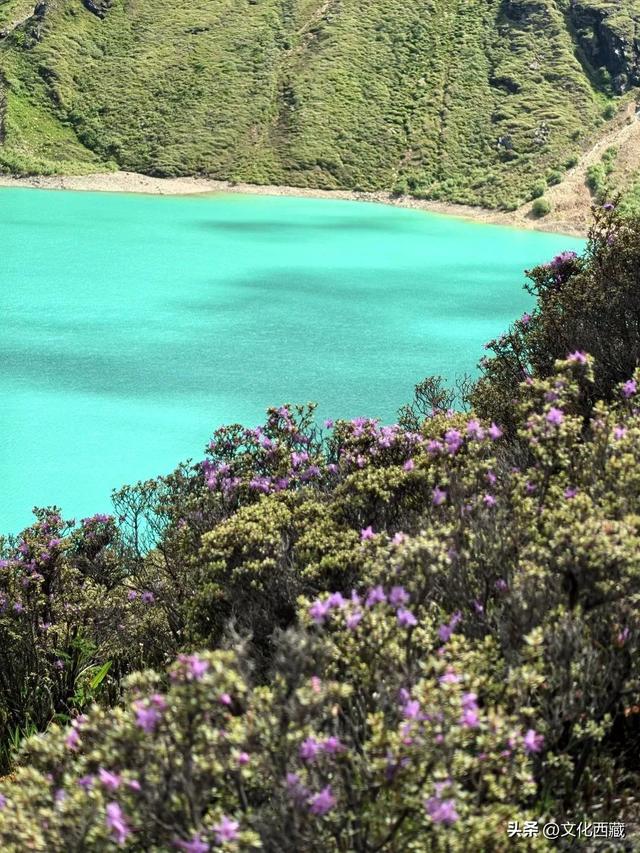 一路太多美景！离开浪浪山，去西藏这里开启一场山野漫游！