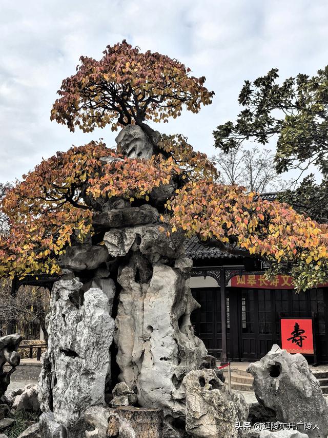 冬游如皋水绘园 亭台楼阁才子佳人水相会 匠心独运天地人造似天成