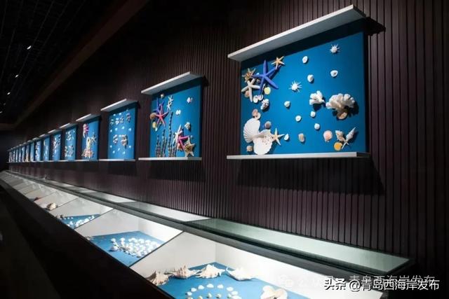 元旦的西海岸真的超超超多惊喜！🤩