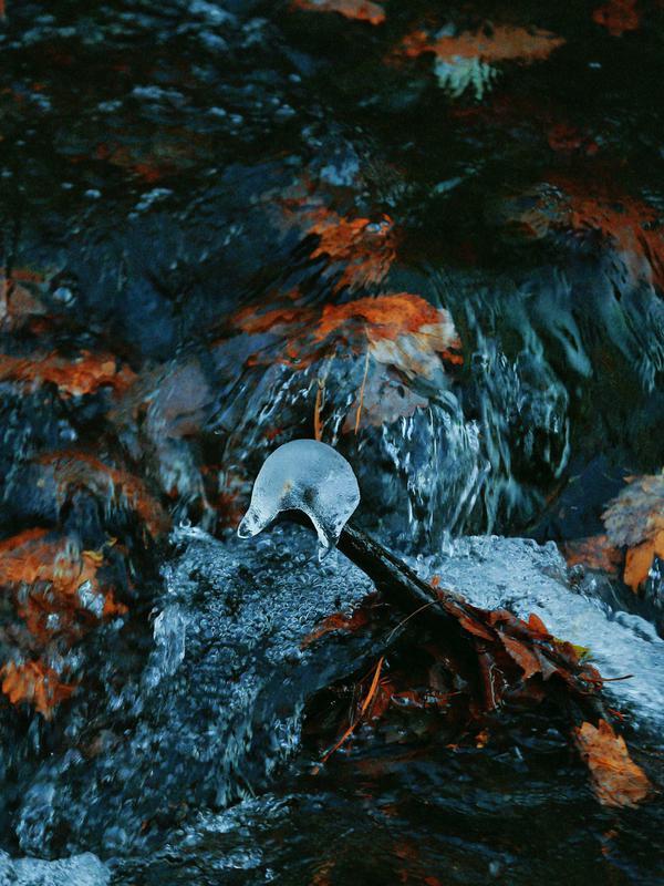 抓住秋天的尾巴！看辉南吊水壶景区最后一抹秋韵