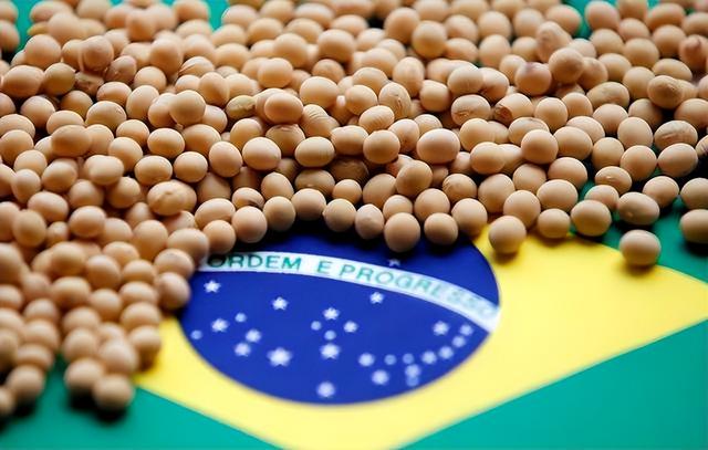巴西大豆价格再上涨1.15%！中国买家按下暂停键，巴西大豆还买吗
