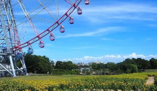 在地人隐藏秘境！东京冷门景点20选