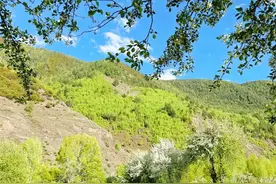 睡前默念这3字，睡得可香了！图片