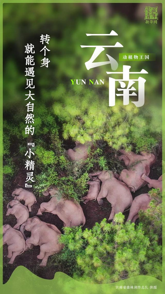 你好，云南！