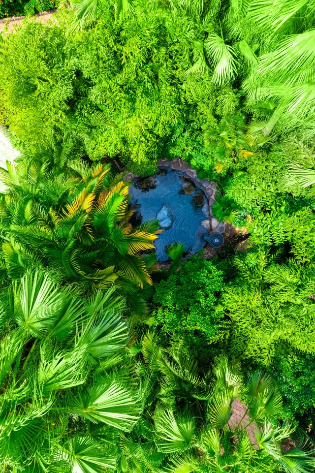 厦门 | 景点&美食J人最强攻略（养生版