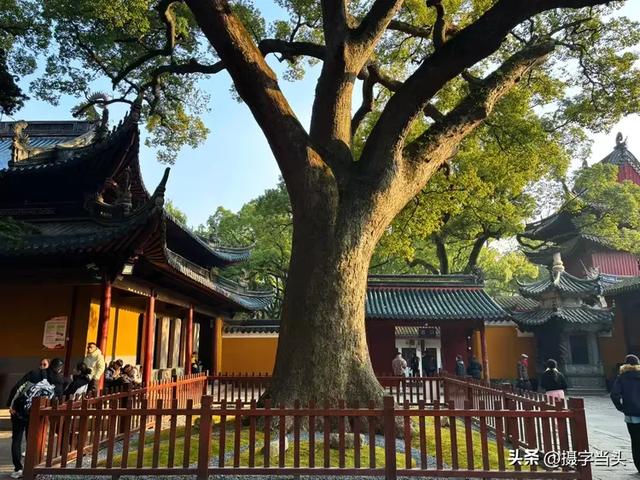 东海之滨——海天佛国普陀山