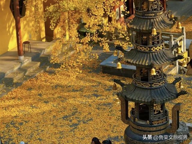 镇江的秋日才是真绝色，三山染彩、古街流韵，连空气都带醋香