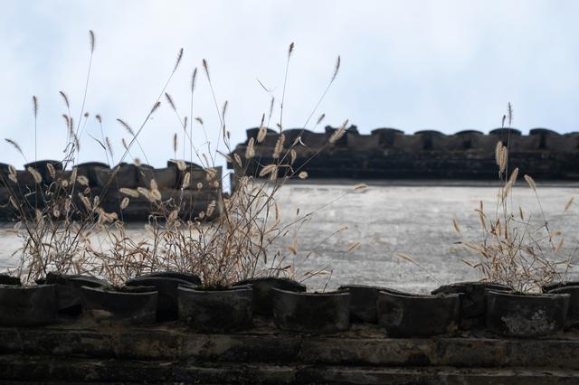 黟县西递村——从这里开始，慢慢翻开“徽派”的书