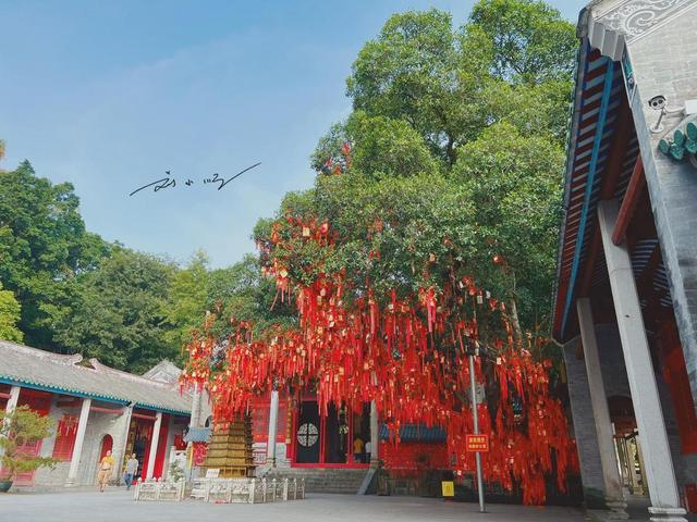 广东云浮有一座特殊的寺庙：据说是中国首座以“国”命名的寺庙？
