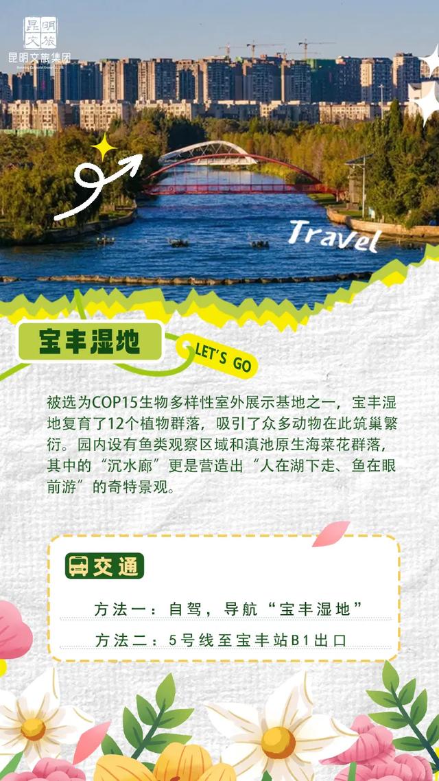 “人在画中游”！昆明这个湿地公园成“全民健身”热门打卡地
