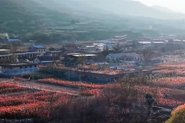 图集丨黄前镇：初冬美景正当时