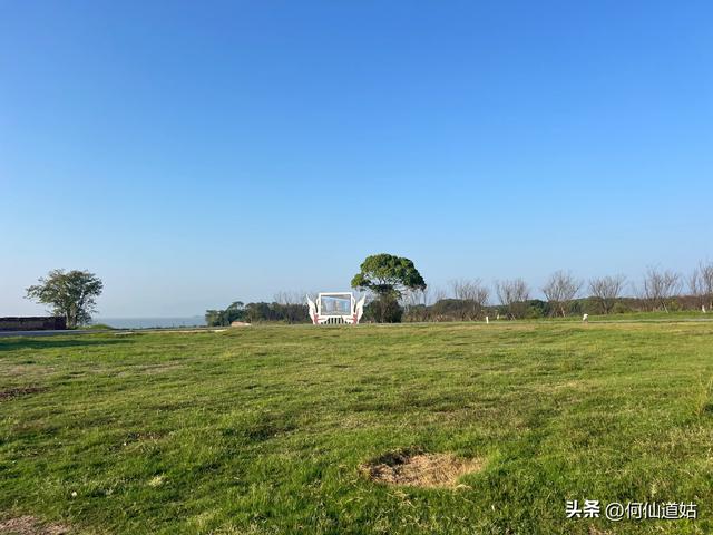 吴城狮子山观鸟