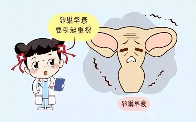 出水痘可以吃花胶吗 2026年出水痘可以吃花胶吗会传染吗
