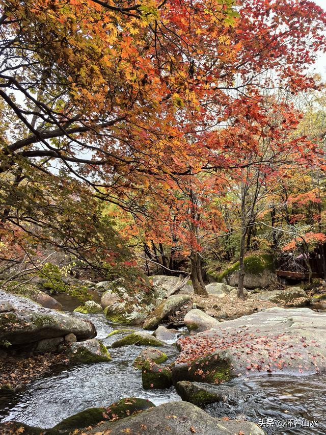 2025辽宁赏秋之旅日记(3)——游览洋湖沟和老边沟