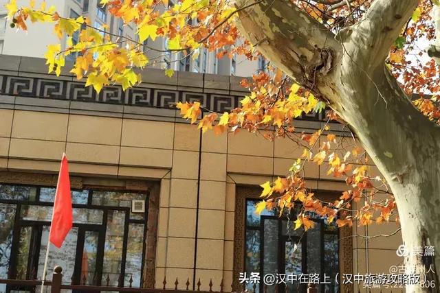 汉中老厂区的梧桐大道,太火了!