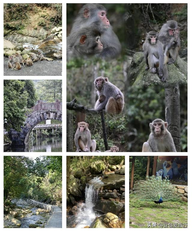 贺州悠游指南：慢游山水古城，品味岭南风情