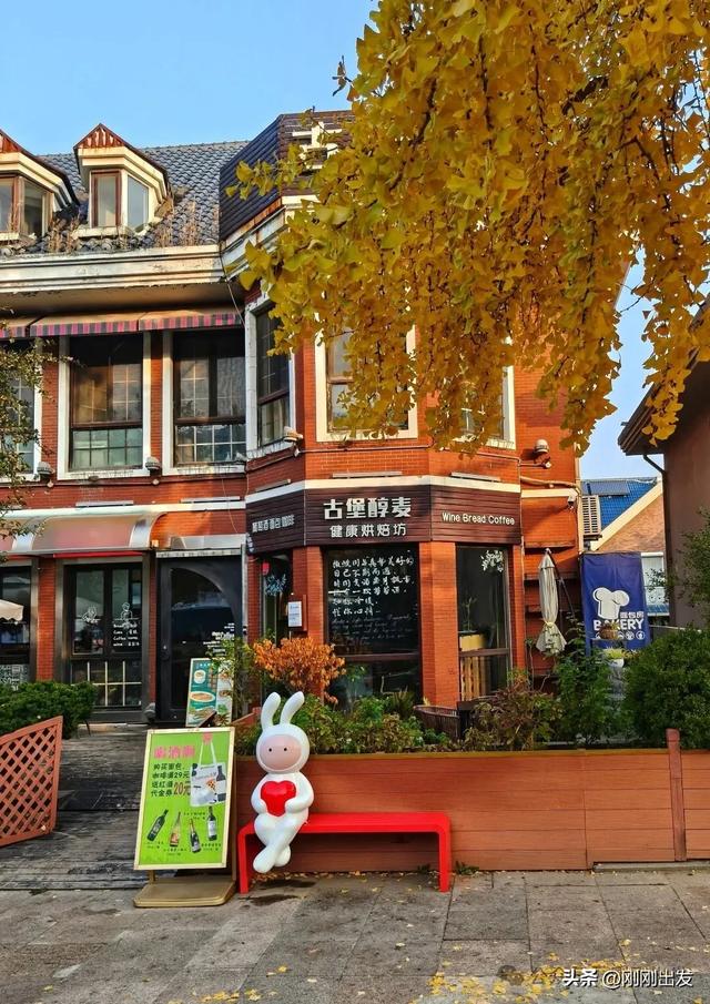 大连市内最火银杏大道正当时，满地金黄，快来打卡吧