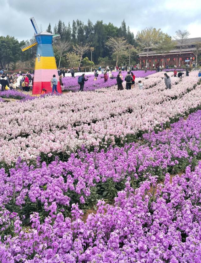 厦门六区之巅，岛内最高云顶岩339.6米，岛外最高云顶山1175米