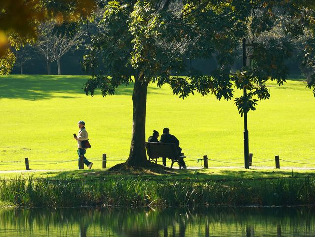杭州秋日秘境：太子湾与浴鹄湾的红枫水墨画